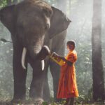 Enfrentar o Sofrimento