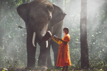 Enfrentar o Sofrimento