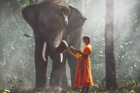 Enfrentar o Sofrimento