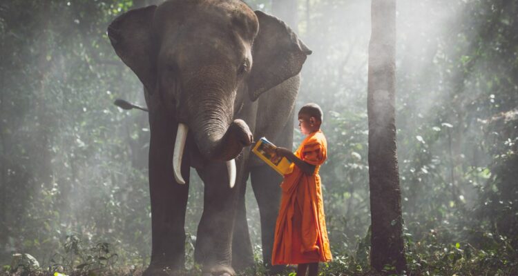 Enfrentar o Sofrimento