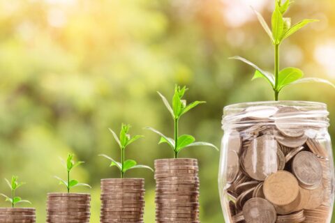 Investir com Pouco Dinheiro