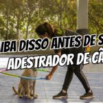 7 Coisas Que Todo Mundo Precisa Saber Antes de Ser Adestrador Canino