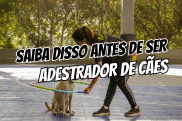 7 Coisas Que Todo Mundo Precisa Saber Antes de Ser Adestrador Canino