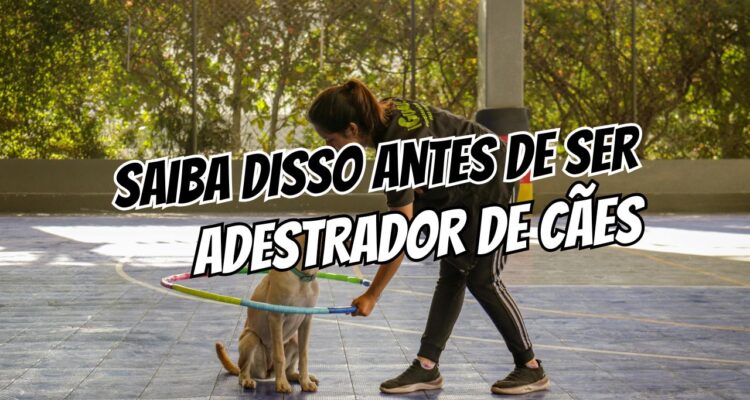 7 Coisas Que Todo Mundo Precisa Saber Antes de Ser Adestrador Canino