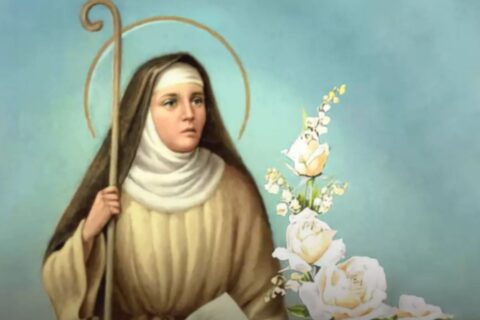 santa monica dia 27 de agosto