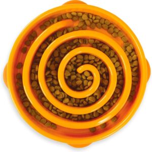 Cachorro come muito rápido como resolver