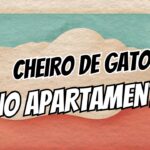 Como ter uma caixa de areia sem cheiro