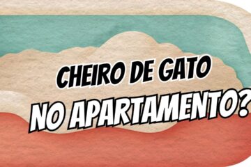 Como ter uma caixa de areia sem cheiro