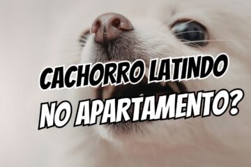 como reduzir os latidos do cachorro no apartamento
