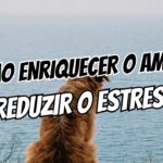 Cão ansioso sozinho O guia para enriquecer o ambiente e reduzir o estresse
