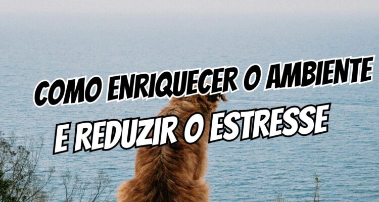 Cão ansioso sozinho O guia para enriquecer o ambiente e reduzir o estresse