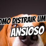 cachorro ansioso