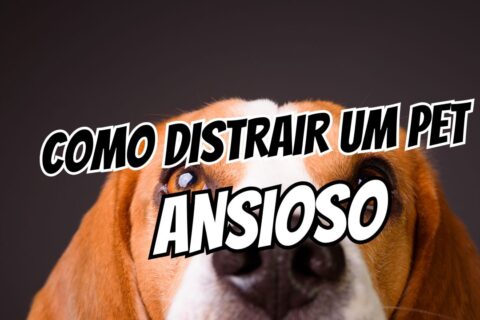 cachorro ansioso