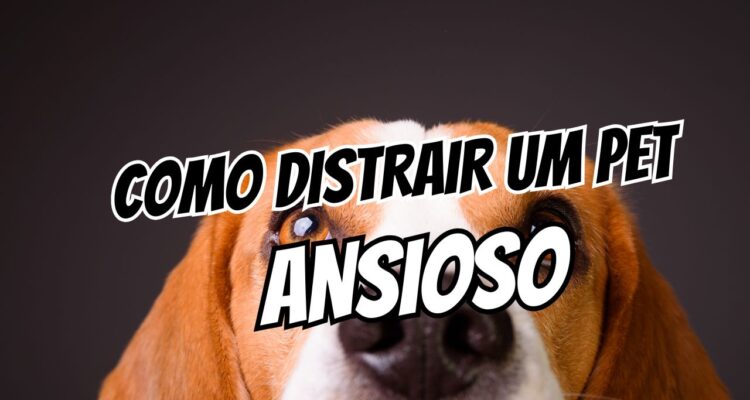 cachorro ansioso