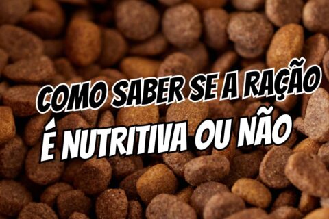Como saber se a ração é nutritiva ou só “enchimento” no rótulo