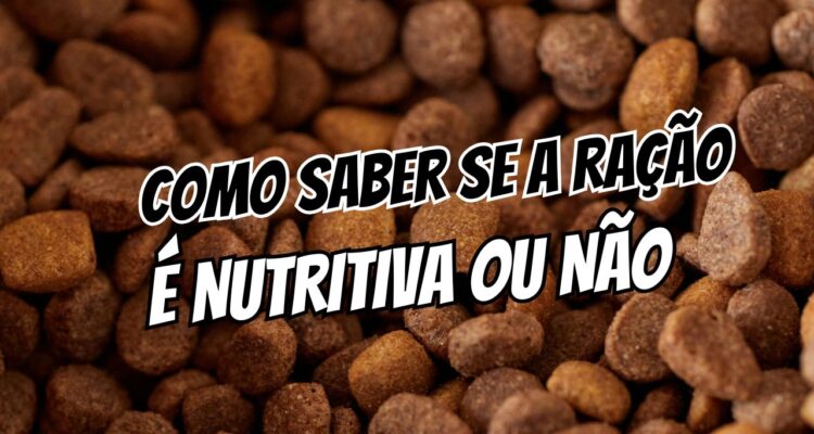 Como saber se a ração é nutritiva ou só “enchimento” no rótulo