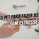 Unhas do pet como cortar sem estresse, brigas ou traumas