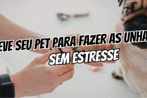 Unhas do pet como cortar sem estresse, brigas ou traumas